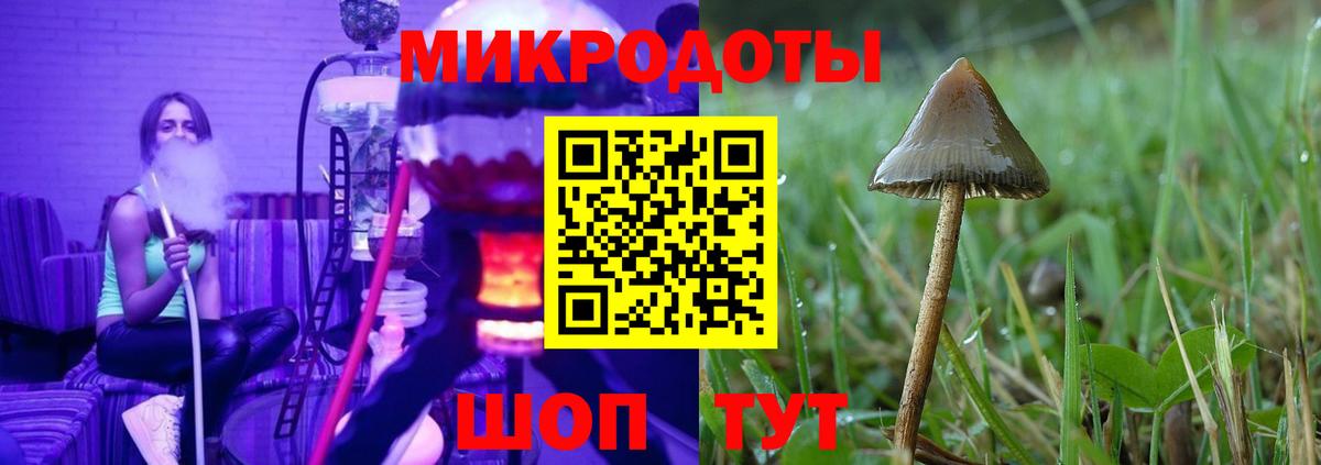 Орехово-Зуево  Псилоцибиновые грибы мицелий  Вход с VPN 